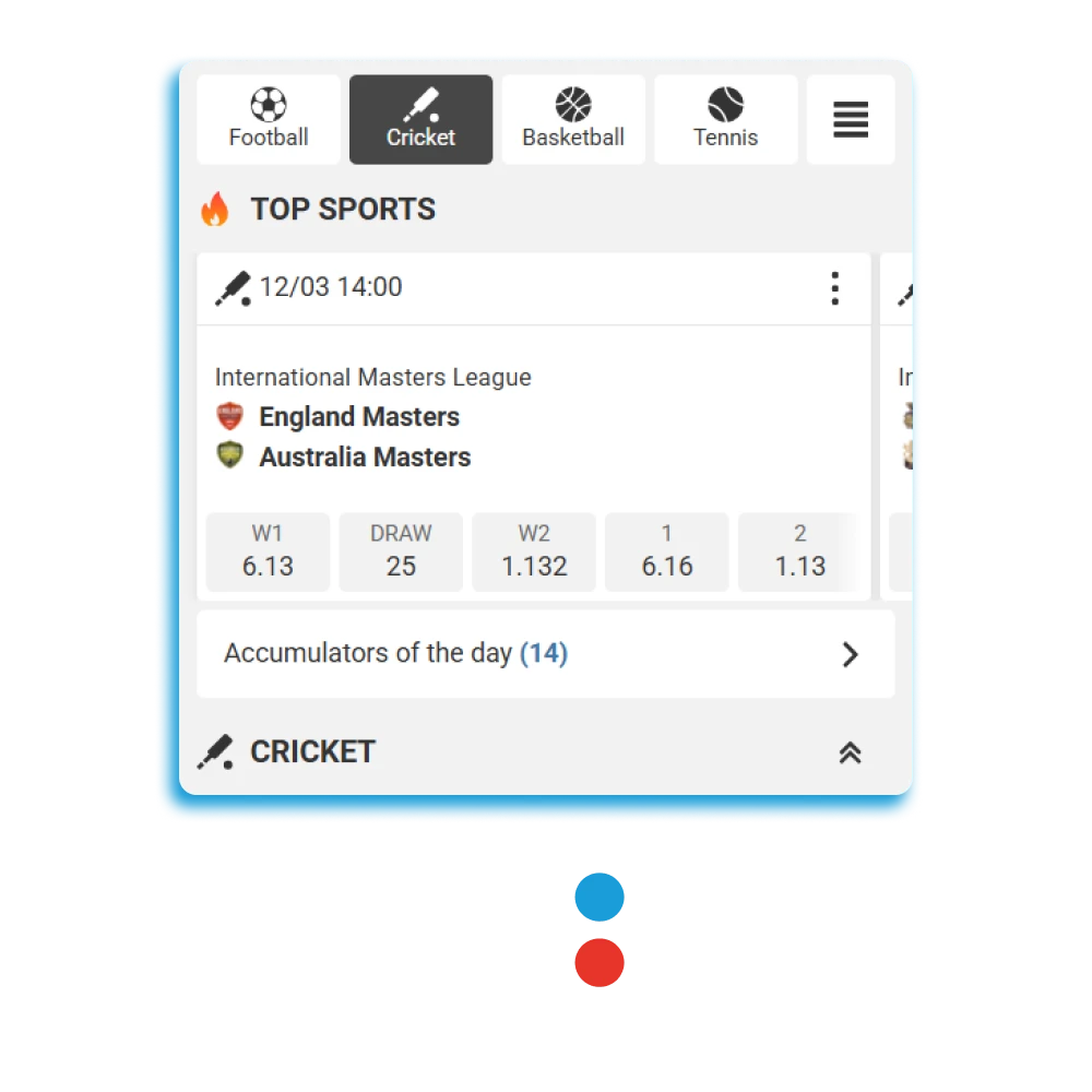 Bet on cricket matches on the MegaPari website.