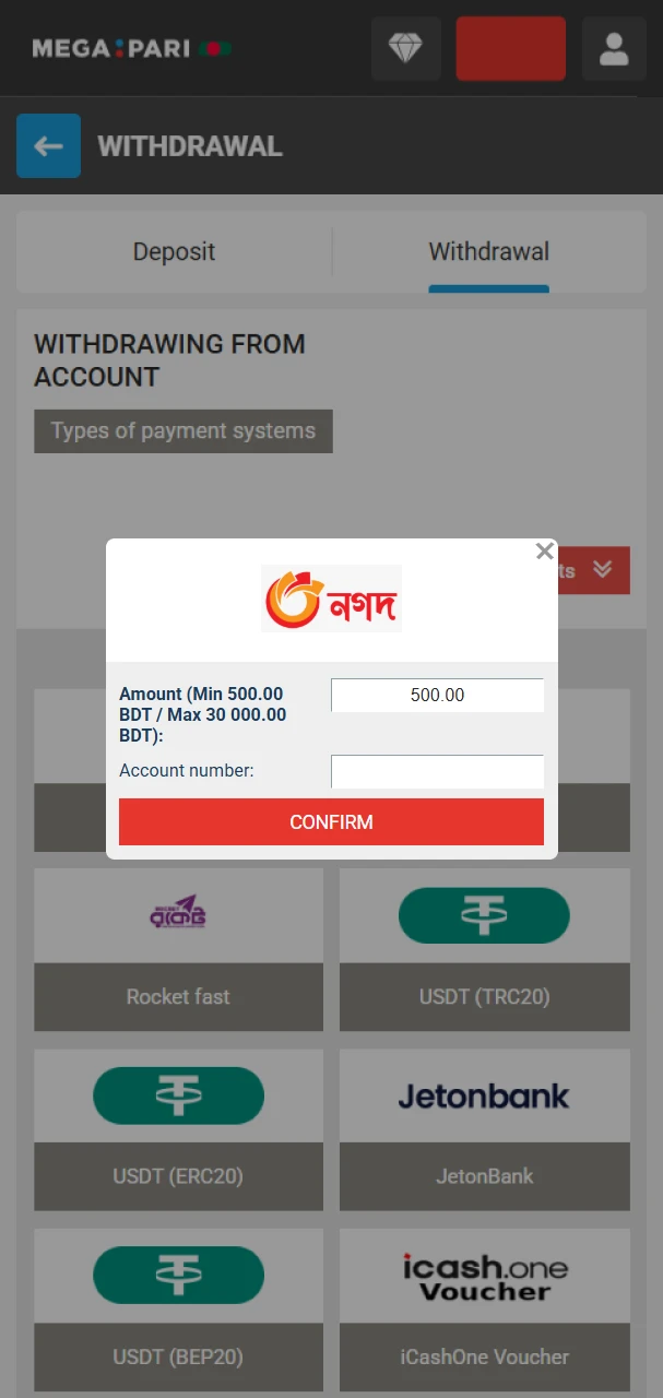 Fill out the required field to withdraw funds from MegaPari.