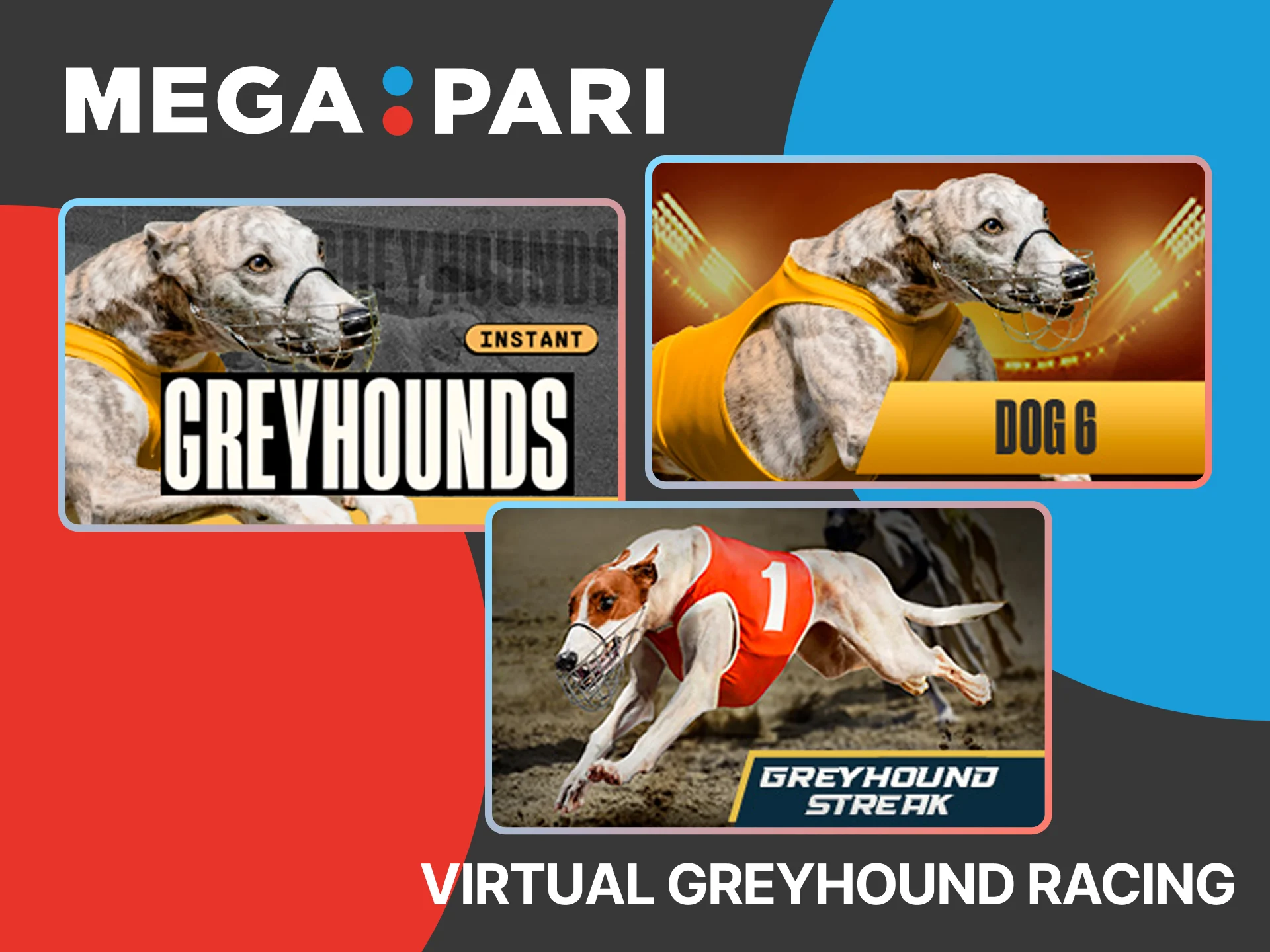 Greyhound racing fans should bet on it at MegaPari.